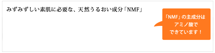 みずみずしい素肌に必要な、天然うるおい成分「NMF」