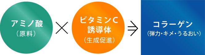 アミノ酸×ビタミンC誘導体=コラーゲン