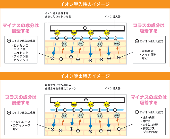 イオン 導出 と は