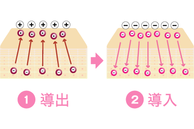 イオン導出の順番はイオン導出の前に