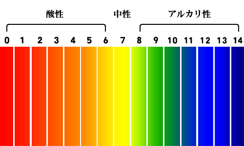 トラネキサム酸イメージ