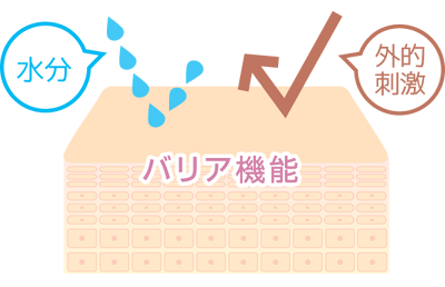 肌のバリア機能の役割