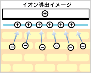 イオン導入と導出