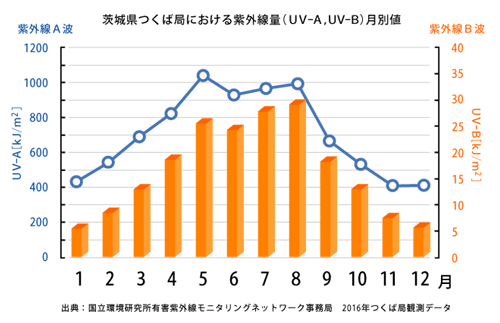 ※紫外線量のグラフ