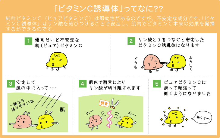 ビタミンＣ誘導体ってなに？