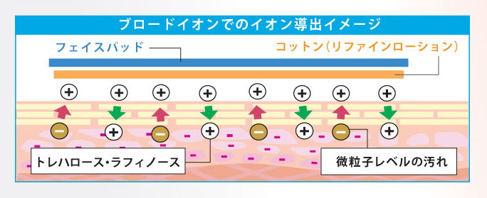 イオン導出の働き図