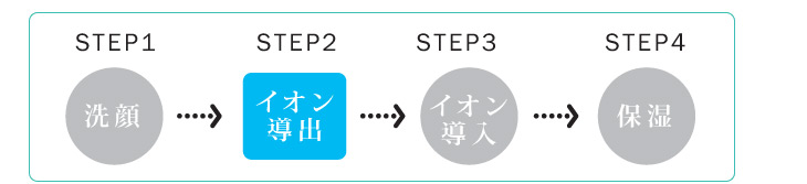 イオン導出お手入れの順番