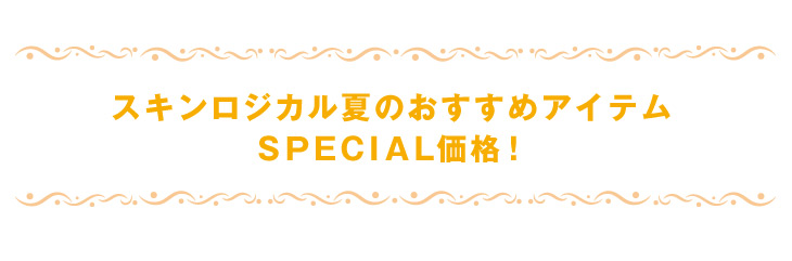 夏のおすすめ特別価格