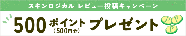 レビュー投稿　ポイントプレゼント